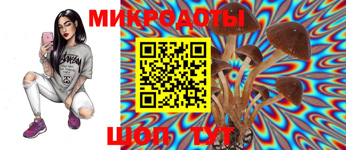 Псилоцибиновые грибы Cubensis  Псилоцибиновые грибы прущие грибы  Кандалакша  Вход с VPN 